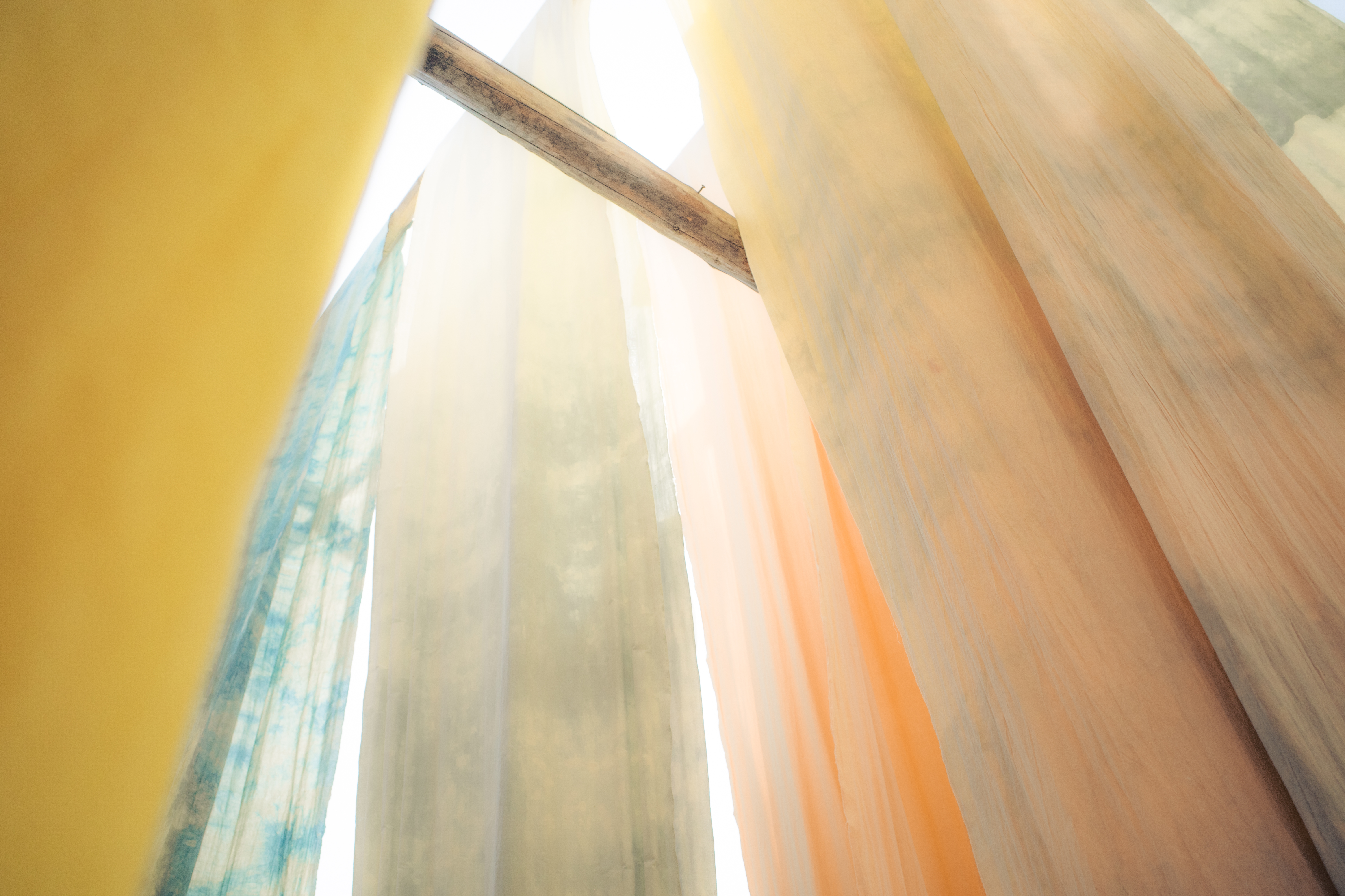 0219933cb062074135c73d60df09a554