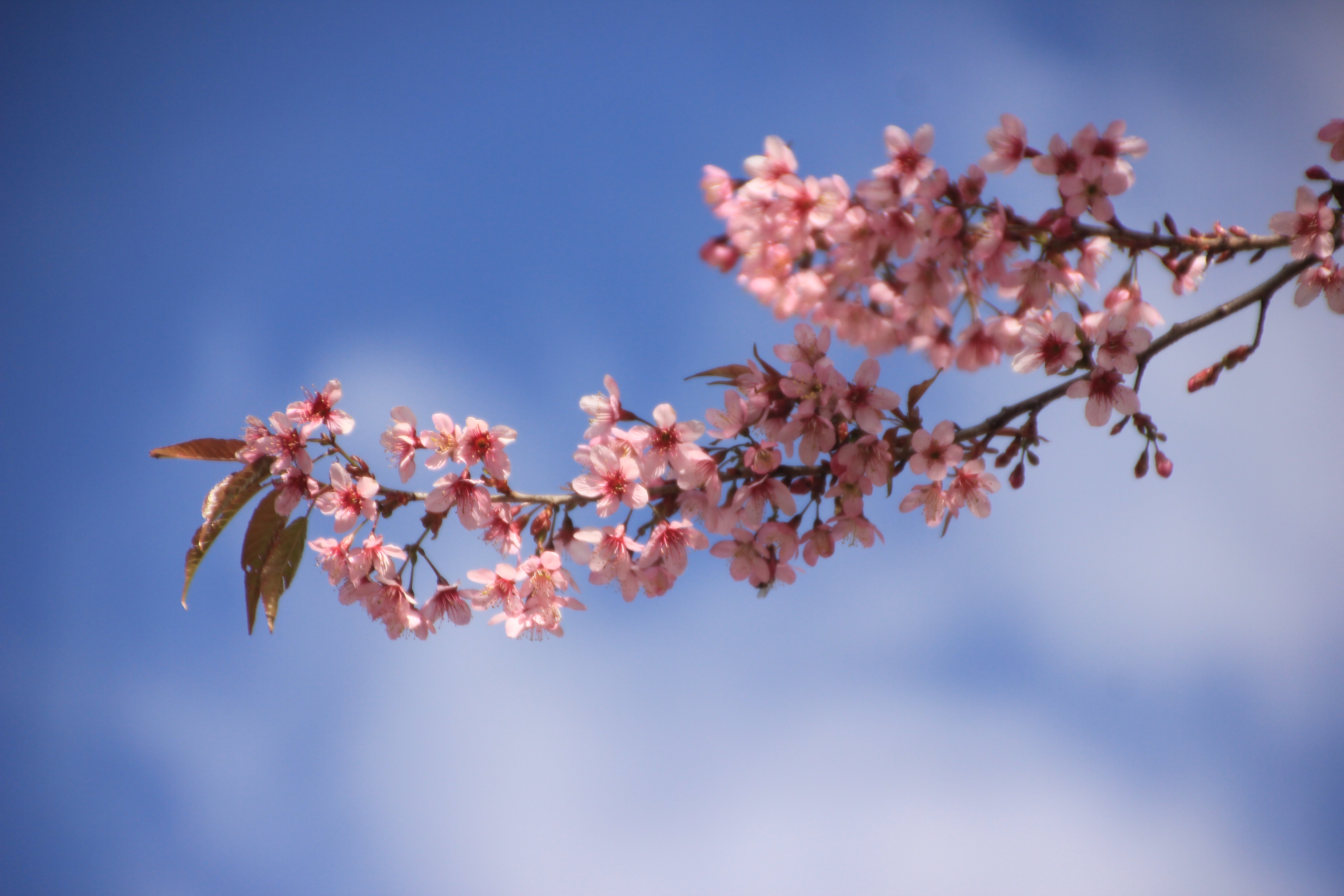 4fa42af836bf9ae6b26a06280e7c65e7