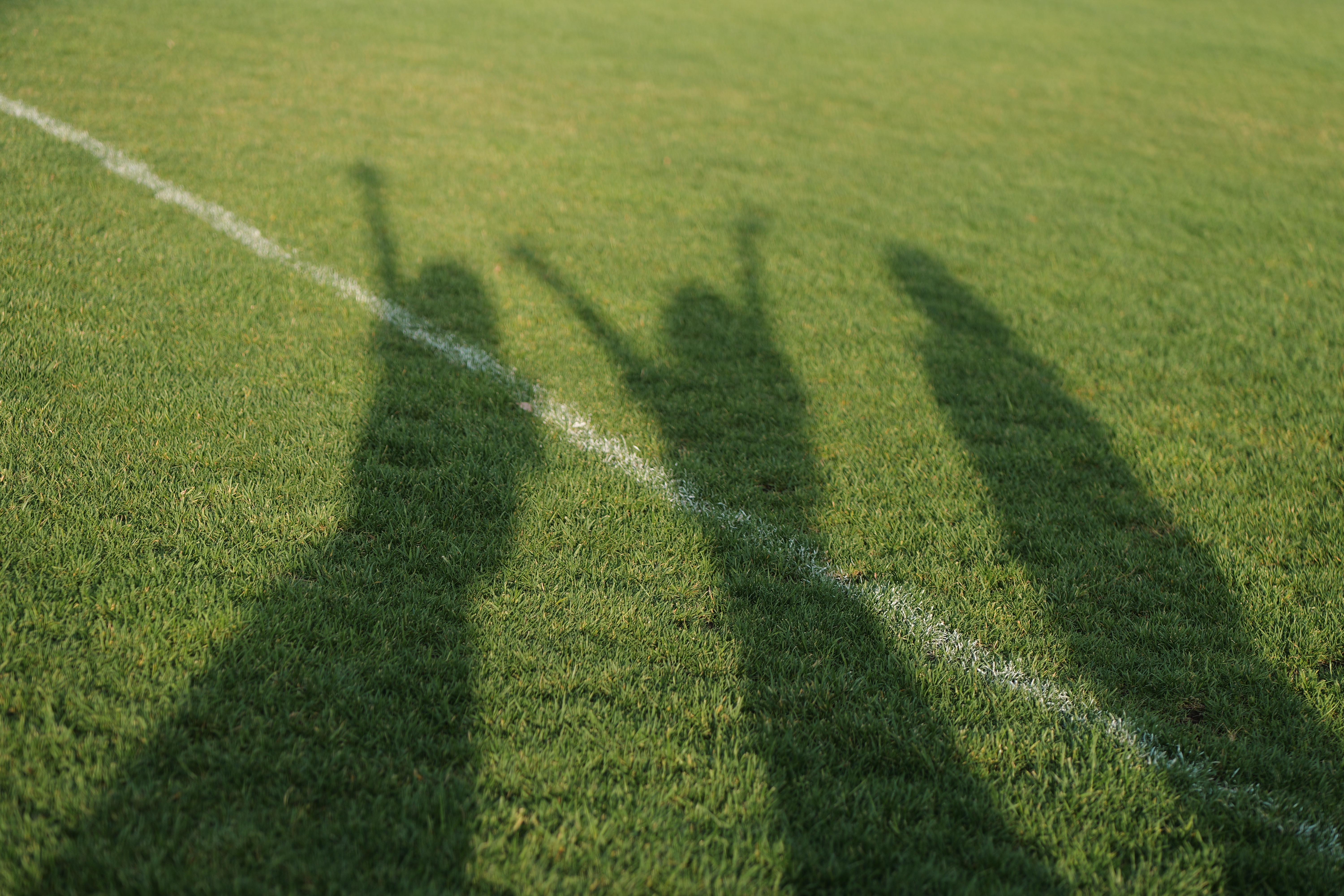 67f4f521a989c7099cdfc9f7eb581e40